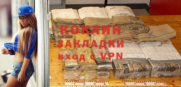 прущие грибы Краснотурьинск