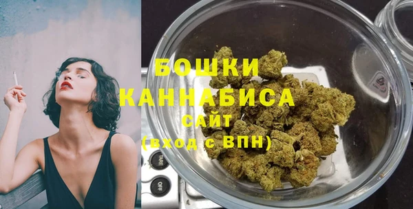 прущие грибы Краснотурьинск