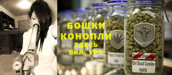 прущие грибы Краснотурьинск
