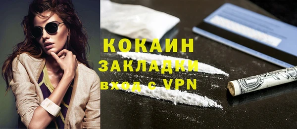 прущие грибы Краснотурьинск