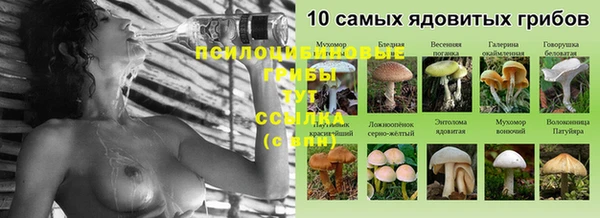 прущие грибы Краснотурьинск